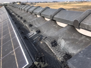 210204　山崎様　鳩除け施工写真11